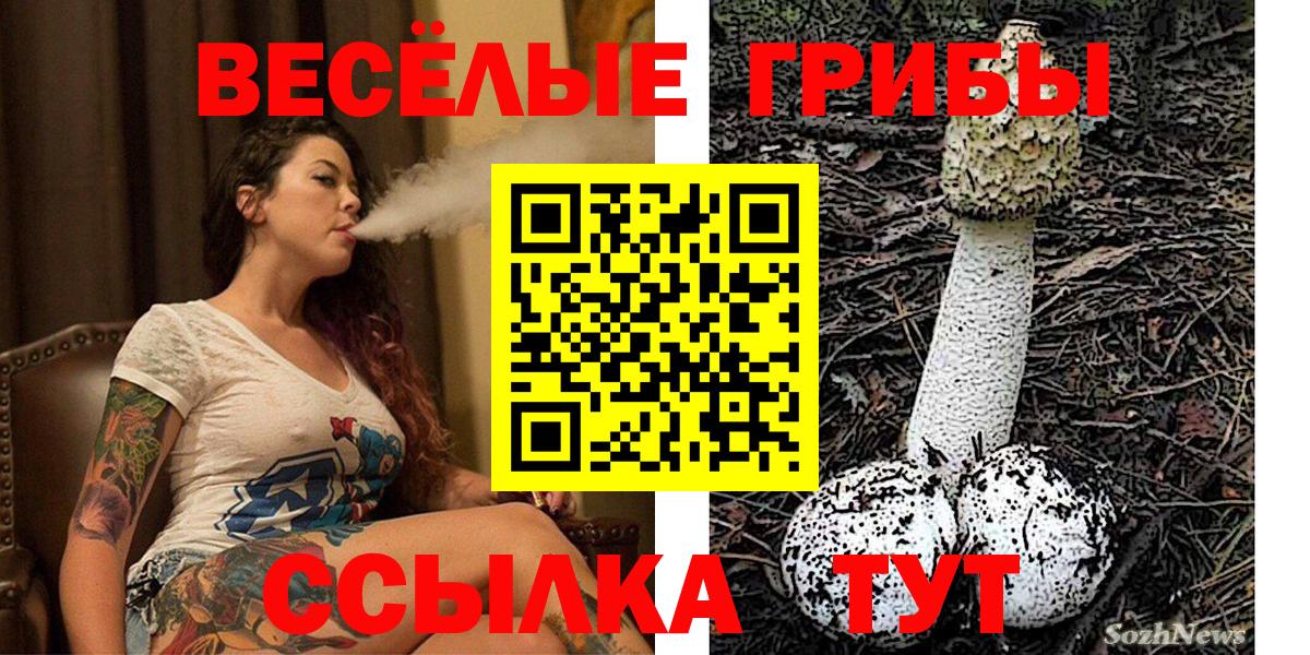 Галлюциногенные грибы MAGIC MUSHROOMS Отрадное