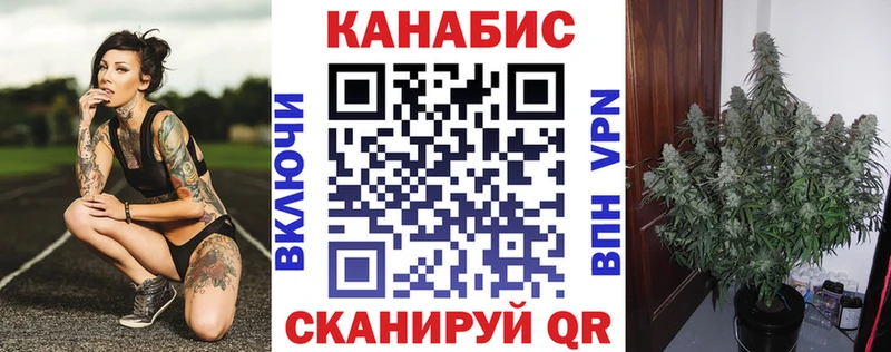 Купить где  Отрадное  Бошки марихуана конопля 